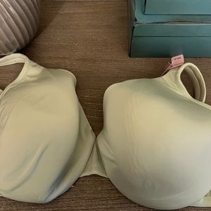 Cacique full coverage bra in light green.
